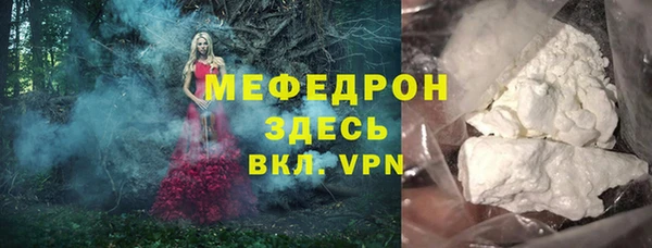 амф Грязовец