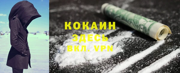 тгк Гвардейск