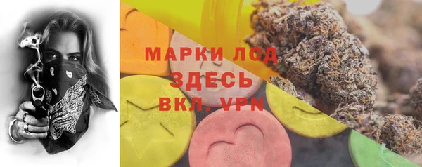 тгк Гвардейск