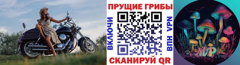 MEGA онион  Верхняя Пышма  Галлюциногенные грибы Cubensis  сколько стоит 